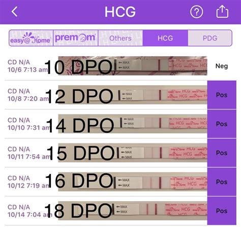 Predictor Early 14 16 Dpo Right To Left Is This Normal Progression