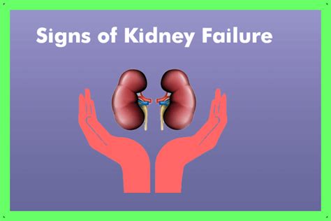 10 Ways You Will Know You Are Having Kidney Failure Check All