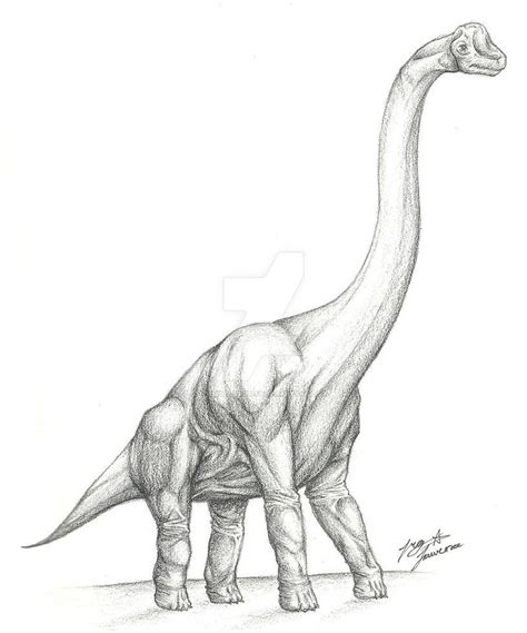 How To Draw A Brachiosaurus I Mark Its Core Line With The Hb Pencil