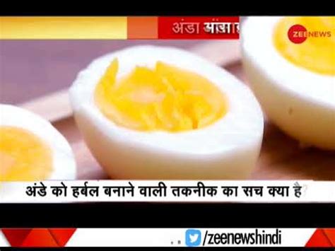 Is Egg vegetarian or non-vegetarian? Watch to know - YouTube