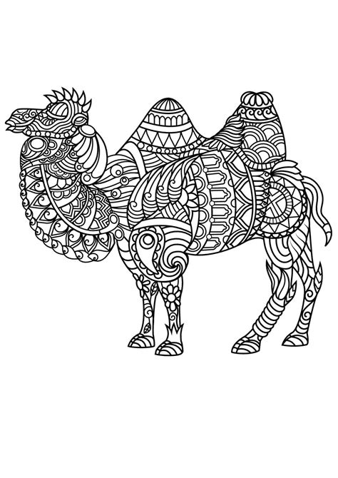 Camels are the only animals that have uniqueness with a humped back. Get This Adult Coloring Pages Animals Camel 1