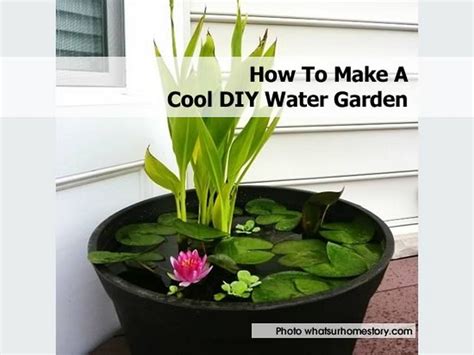 How To Make A Cool Diy Water Garden