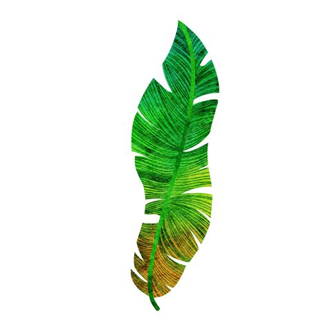 Tropical Green Palm Leaves Palm Leaves Green Tropical Leaves Png