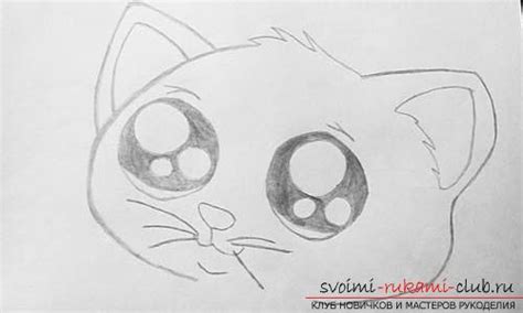 Poze Cu Pisici In Creion Cum Sa Desenezi O Pisica How To Draw A Cat
