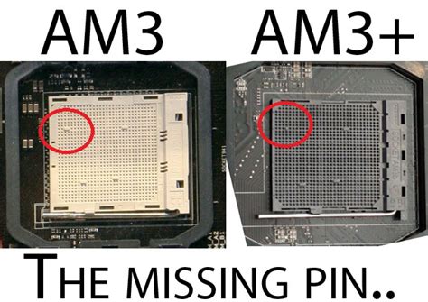 With a 5.0ghz max turbo speed and a base overclock of 4.7 ghz, this cpu socket is a winner with its remarkable frequency for advancing your levels of gaming and. Will my "6-core CPU" motherboard support an 8-core CPU ...