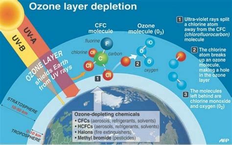 What Is The Main Reason For The Depletion Of The Ozone Layer Socratic