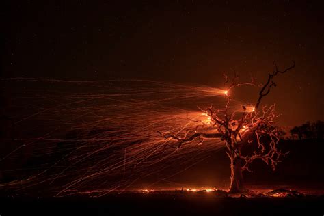 Photo © Peter Dasilva High Winds Fuel Hot Embers From A Burning Oak