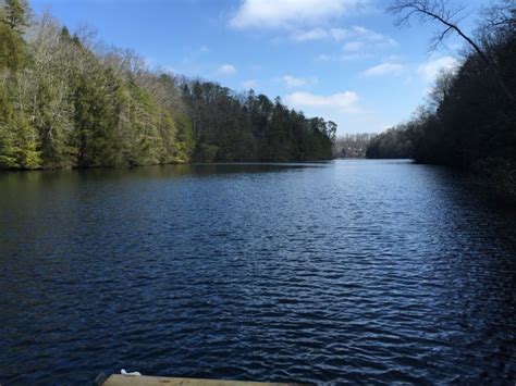 Advertise lakefront property in ky. Quiet and Peaceful - A Cabin in the Woods Has Private Yard ...