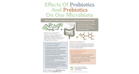 Los Efectos De Los Probióticos Y De Los Prebióticos En Nuestra
