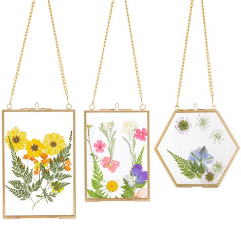 Buy 3 Packs Pressed Flowers Glass Frames Golden Hanging Glass Picture