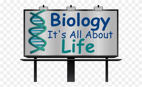 Biology Science Clipart Explore Pictures Science Clipart PNG