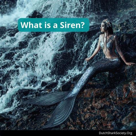 Are Sirens Evil Mermaids Or The Same Mythical Creature