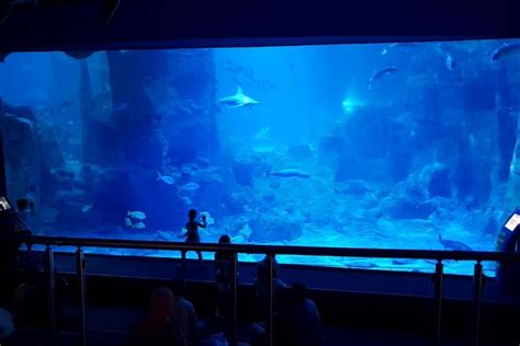 50 Best Aquariums In The World 2021 Tourscanner