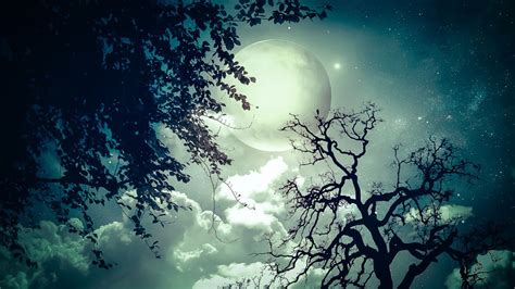 Moon Trees Clouds Dream Stars Wallpaper 1920x1080