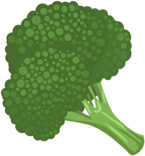 Download High Quality Broccoli Clipart Steamed Transparent Png Images