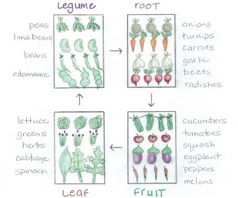 11 Helpful Charts To Make You The Best Gardener Ever | Crop rotation