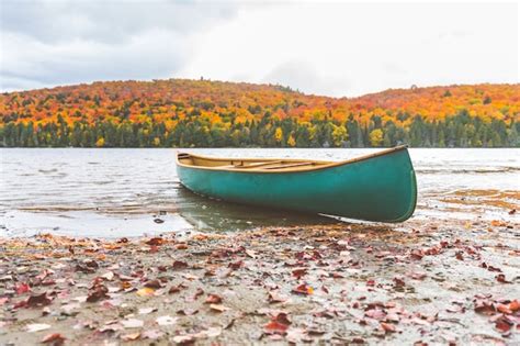 Premium Photo Canoe On The Shore Of A Lake Autumn Nature Setting
