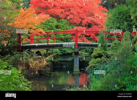 Footbridge Across Pond Surrounded By Maples In Fall Color At Kubota