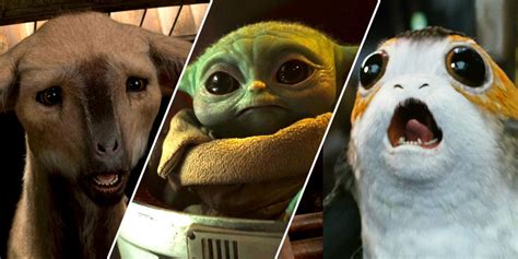 The 12 Cutest Star Wars Characters Ranked