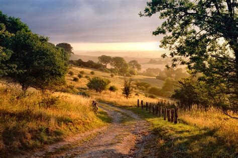 Five Stunning Walks In The Chilterns That Will Take Your Breath Away