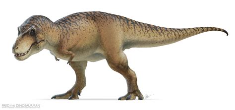 Rex By Fredthedinosaurman On Deviantart Arte Com Tema De Dinossauro Tiranossauro Animais Pr