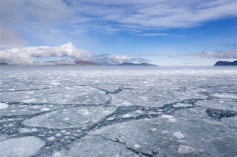 Arctic Sea Ice Scene Ukesm