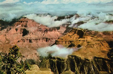 Vintage Grand Canyon Postcard Grand Canyon National Park Grand