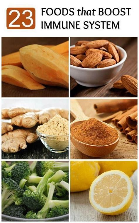 Immune boosting foods in india. One of the most important steps you can take to maintain ...