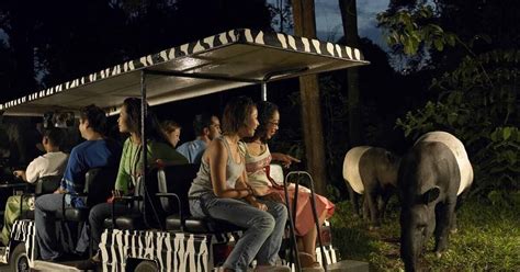 Singapore Night Safari Park Entrance Ticket Including Tram Ride Musement