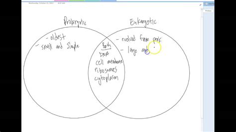 Angl schematic — a schematic is a diagram that represents the elements of a system using abstract, graphic. Answers - Prokaryotic vs Eukaryotic Venn Diagram - YouTube