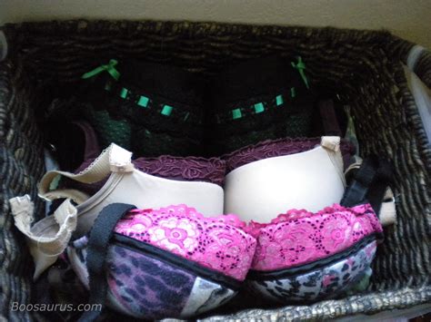 Boosaurus Bra Storage Methods