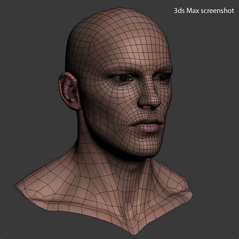 Realistic Male Head 3d Model 199 Max Ma Ztl Obj Fbx Free3d