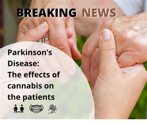 parkinson s disease the effects of cannabis on the patients novus cannabis medplan