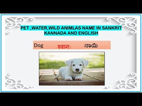 Unique sanskrit names for girls: 30 Animals name in Sanskrit,Kannada And English| Domestic ...