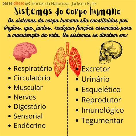 Sistemas Do Corpo Humano Resumo Anatomia I