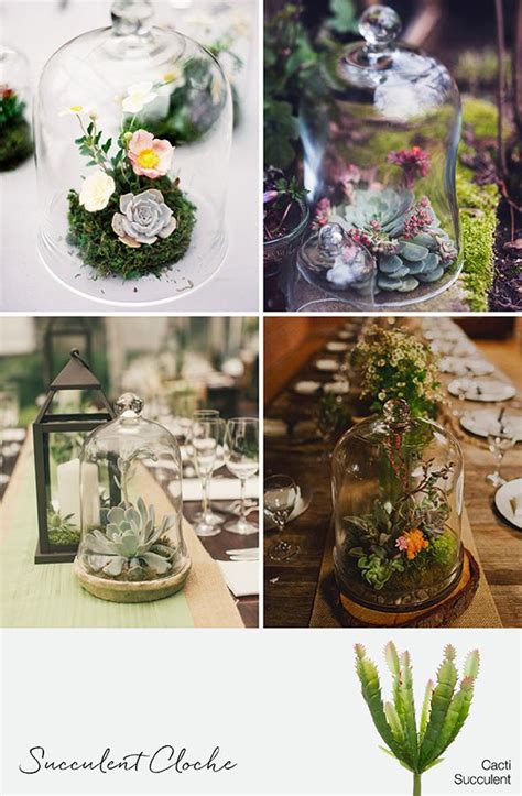 Cloches With Succulents Artificial Succulents Table Centerpieces