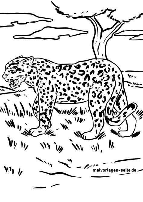 Malvorlage Jaguar Wilde Tiere Malvorlagen Für Kinder