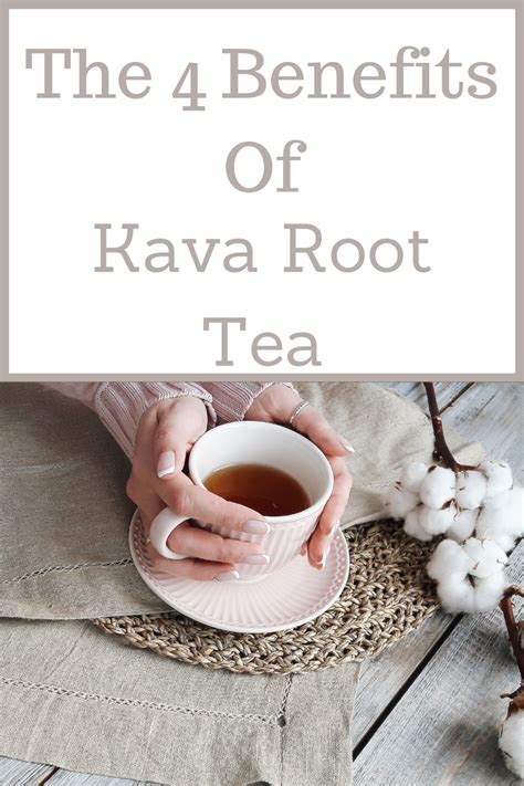 The Benefits Of Kava Root Tea Healthy Teas