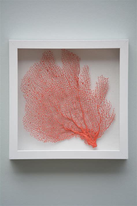 Framed Sea Fan Coral Etsy Coral Wall Art Coral Decor Fan Coral