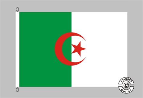 Diese algerienflagge besteht aus polyester mit einem gewicht von 80 g/m². Algerien Flagge Hissflaggen Premium Staaten International ...