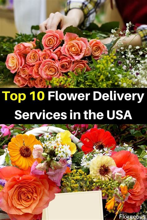 We've been growing our floral business for more than 30 years, making us experts in the flower delivery field. 10 Best Flower Delivery Services in USA | Best flower ...