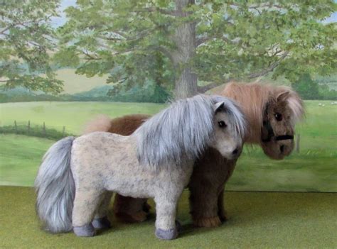 When the spanish conquistadores came to latin america, they brought some andalusian horses with them. Grey Falabella shown here with one of our Shetland ponies ...