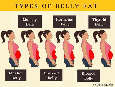 How To Reduce Belly Fat Fast The Diet Etiquette