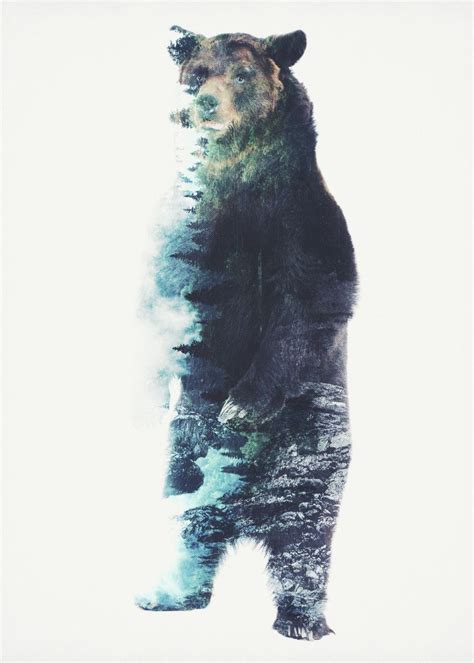 A Vintage Double Exposure Technique Of A Brown Bear And Poster