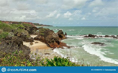 Famous Tambaba Beach In Paraiba Brazil Stock Image Image Of Paraiba Coconut