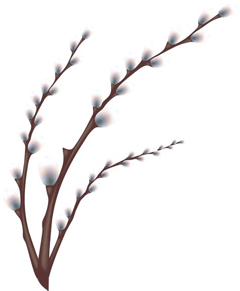 Tree Branch Transparent Background Png
