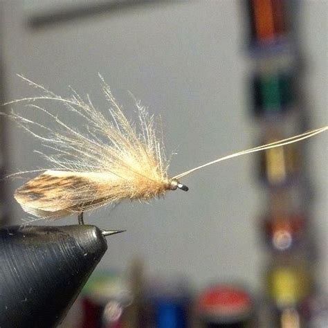 Pin On Fly Fishing