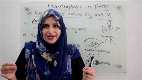 Class 10 Homeostasis in Plants - YouTube