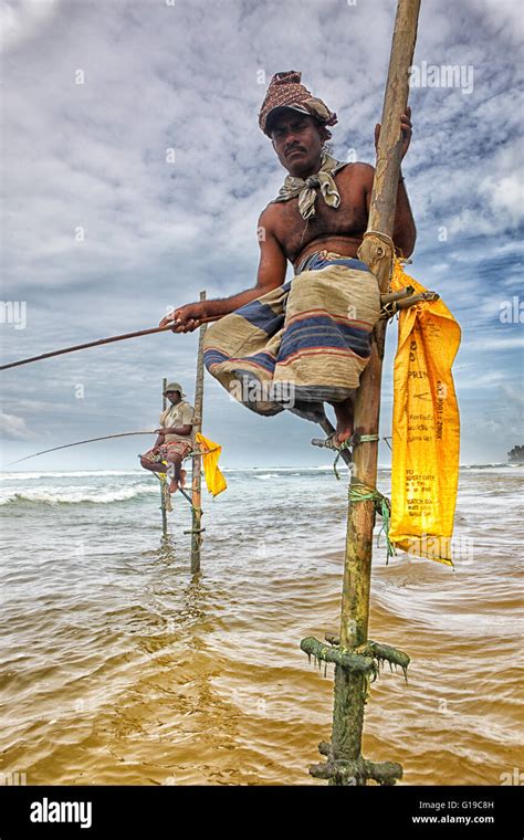 Stilt Fishermen Sri Lanka Traditional Stilt Fisherman At Kogalla Sri