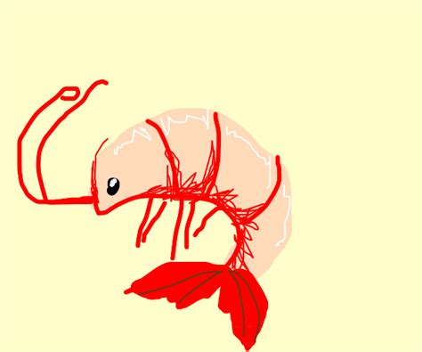 Shrimp Drawception